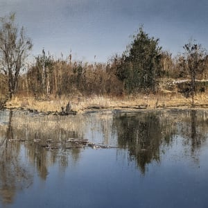Still Pond by Abdul Khaliq Ansari 