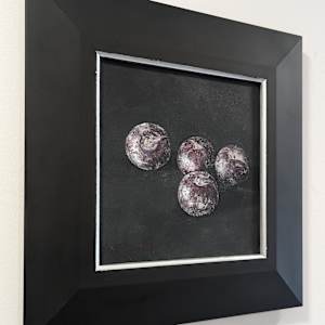 Plums by Abdul Khaliq Ansari 