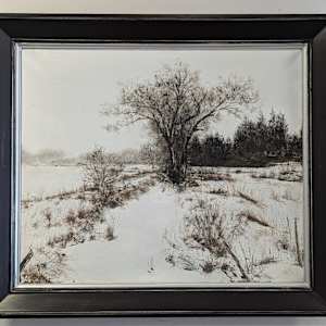 Snowy Creek by Abdul Khaliq Ansari 