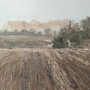 Late Spring by Abdul Khaliq Ansari 