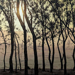 Nirvana by Abdul Khaliq, Image 3.