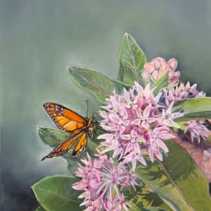 Fancy Milkweed and a Monarch Butterfly by Nila Jane Autry