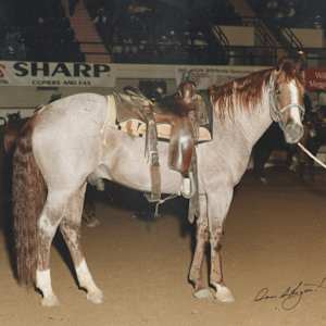 Peptoboonsmal  Image: Peptoboonsmal