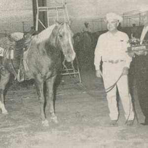 1964-1993 : NCHA Non-Pro World Finals Champions