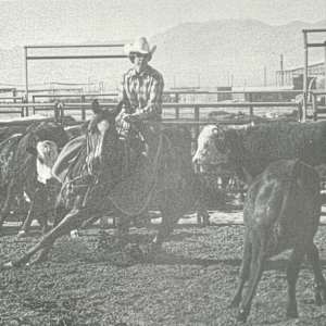 1964-1993 : NCHA Non-Pro World Finals Champions  Image: 1975 NCHA Non-Pro World Finals Champion, Carol Rose. 