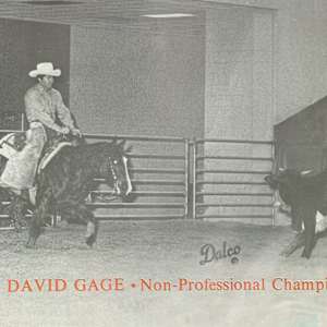 1964-1993 : NCHA Non-Pro World Finals Champions  Image: 1977 NCHA Non-Pro World Finals Champion, David Gage.