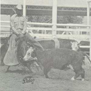 1964-1993 : NCHA Non-Pro World Finals Champions  Image: 1978 NCHA Non-Pro World Finals Champion, Dick Gaines.