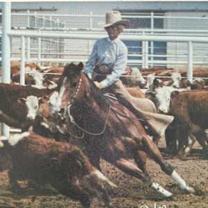 1964-1993 : NCHA Non-Pro World Finals Champions  Image: 1980 NCHA Non-Pro World Finals Champion, Sheila Welch.