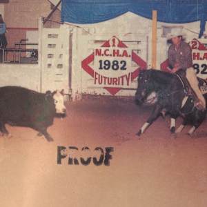 Freckles A Glo  Image: Freckles A Glo shown by Terry Riddle in 1982. 