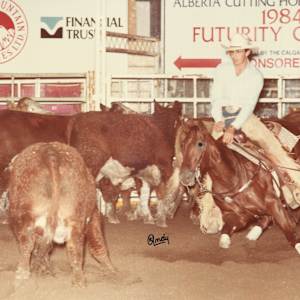 Gems Emerald, Image 2.