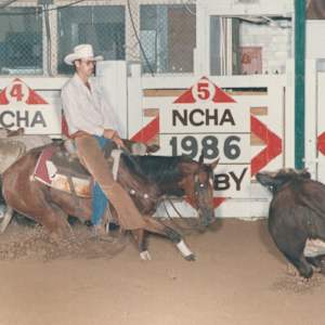 Hickorys Chant  Image: Hickorys Chant shown by Bronc Willoughby at the 1986 NCHA Derby. 