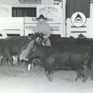 Laney O Lena  Image: Laney O Lena shown by Guy Woods, at the 1994 NCHA Super Stakes Classic Open. 