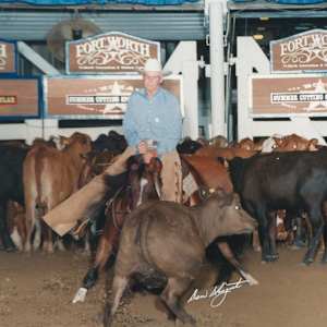 Robert Graves  Image: Robert Graves showing at the 1998 NCHA Derby.