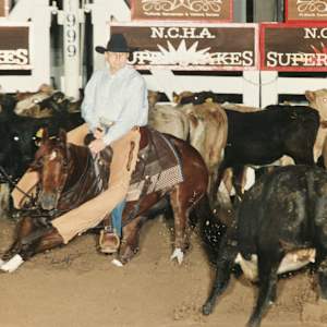 Glade Knight  Image: Glade Knight showing at the 1999 NCHA Super Stakes, Amateur. 