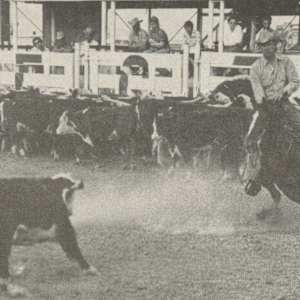 1964-1993 : NCHA Non-Pro World Finals Champions  Image: 1965 NCHA Non-Pro World Finals Champion, B.F. Phillips. 