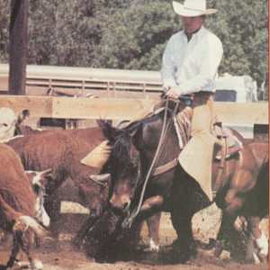 1964-1993 : NCHA Non-Pro World Finals Champions  Image: 1983 NCHA Non-Pro World Finals Champion, Richard Anderson. 