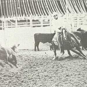 1964-1977 NCHA Past Open World Finals Champions  Image: 1968 NCHA Open World Finals Champion, Chickasha Dan. Ridden by Jimmy Bush, Marvin and Casey Cantrell. 