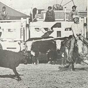 1964-1977 NCHA Past Open World Finals Champions  Image: 1971 NCHA Open World Finals Champion, Gandy's Time. Ridden by Jim Lee. 