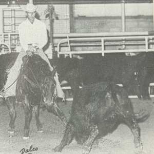 1964-1977 NCHA Past Open World Finals Champions  Image: 1973 NCHA Open World Finals Champion, Sugar Vaquero. Ridden by Bobby Sikes. 