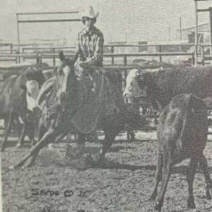 1964-1977 NCHA Past Open World Finals Champions  Image: 1975 NCHA Open World Finals Champion, Peppy's Desire. Ridden by Matlock & Carol Rose. 