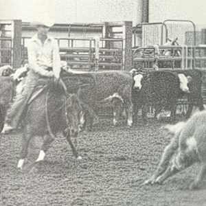 1978-2009 NCHA Past Open World Finals Champions