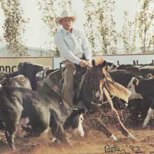 1978-2009 NCHA Past Open World Finals Champions  Image: 1982 NCHA Open World Finals Champion, Tenion San. Ridden by Greg Welch