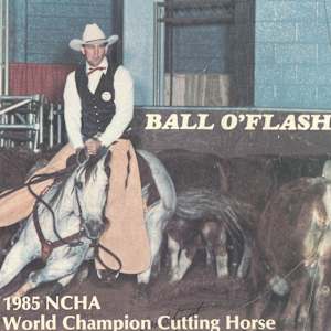 1978-2009 NCHA Past Open World Finals Champions  Image: 1984-1985 NCHA Open World Finals Champion, Ball O'Flash. Ridden by Leroy & Charlie Ashcraft