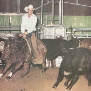 1978-2009 NCHA Past Open World Finals Champions  Image: 1986 NCHA Open World Finals Champion, Jazzote. Ridden by Sonny Rice & George Glover