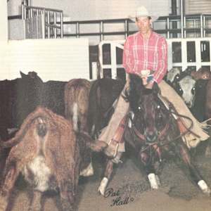 1978-2009 NCHA Past Open World Finals Champions  Image: 1988 NCHA Open World Finals Champion, Hyglo Freckles. Ridden by Faron Hightower