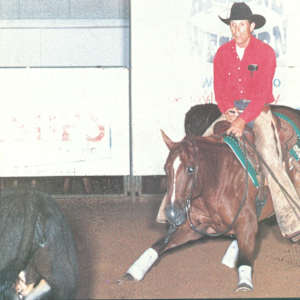 1978-2009 NCHA Past Open World Finals Champions  Image: 1993 NCHA Open World Finals Champion, Show Biz Sandy. Ridden by Billy Ray Rosewell