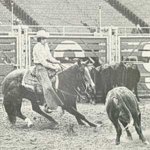 1964-1993 : NCHA Non-Pro World Finals Champions  Image: 1968 NCHA Non-Pro World Finals Champion, Carol Rose. 