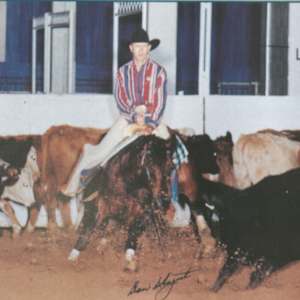1978-2009 NCHA Past Open World Finals Champions  Image: 1996 NCHA Open World Finals Champion, Sonitalena. Ridden by Willie Richardson