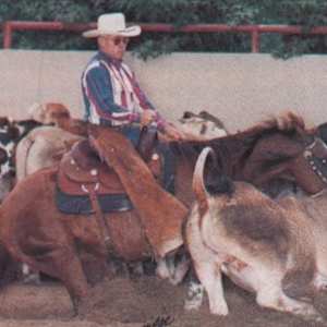 1978-2009 NCHA Past Open World Finals Champions  Image: 1998 NCHA Open World Finals Champion, Go Little Lena. Ridden by Robert Rust