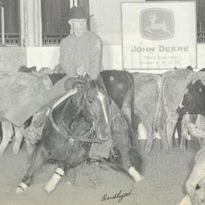 1978-2009 NCHA Past Open World Finals Champions  Image: 2001 NCHA Open World Finals Champion, Rosies Lena. Ridden by Robert Rust
