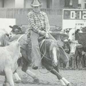 1978-2009 NCHA Past Open World Finals Champions  Image: 2002 NCHA Open World Finals Champion, Quixote Mac. Ridden by Don Pooley