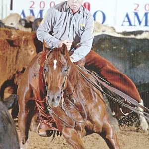 1978-2009 NCHA Past Open World Finals Champions  Image: 2003 NCHA Open World Finals Champion, Hollywood Nus Bar. Ridden by Robert Rust