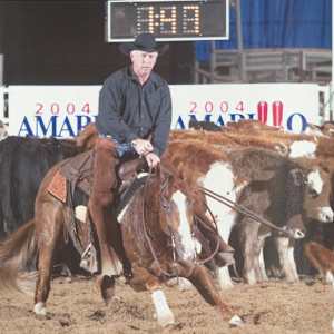 1978-2009 NCHA Past Open World Finals Champions  Image: 2004 NCHA Open World Finals Champion, Flickacat. Ridden by Chubby Tuner