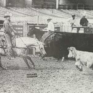 1964-1993 : NCHA Non-Pro World Finals Champions  Image: 1972 NCHA Non-Pro World Finals Champion, Dix Turnbow.
