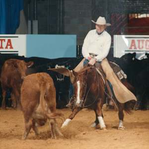 Imari Tari  Image: Imari Tari shown by Buster Welch, at Augusta. 