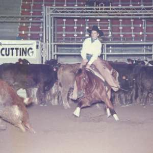 Hyglo Freckles  Image: Hyglo Freckles shown by Summer Hightower at the Breeders Cutting.