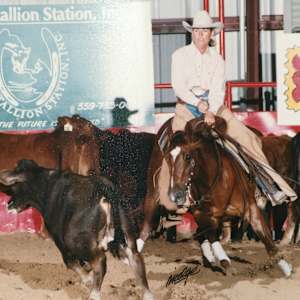 Stephaine Larabee  Image: Stephanie Larabee showing at the Gold Coast Futurity. 