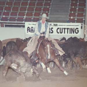 Imari Tari  Image: Imari Tari shown by Helen Groves.