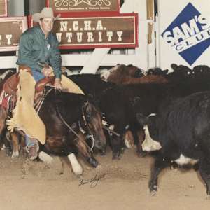 Mark Pearson, Image 4.