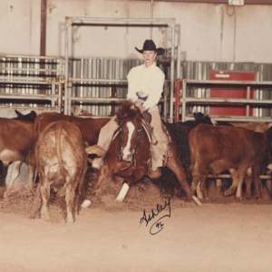 Meradas Missy, Image 2.