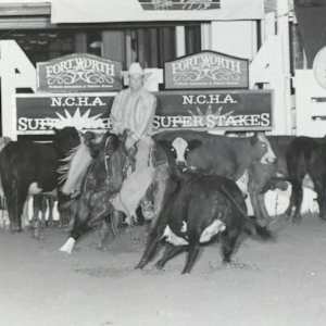 Meradas Missy, Image 4.