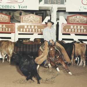 Mr. Mom  Image: Mr. Mom, showing at the 1995 Futurity.