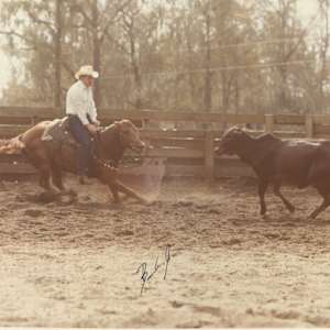 Mr San Dancer  Image: Mr. San Dancer