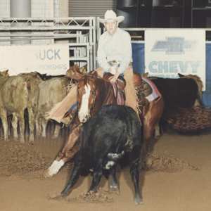 Mr San Mio, Image 3.