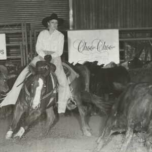 Mr San Mio, Image 2.