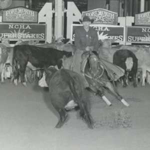 My Lady Stylish, Image 2.